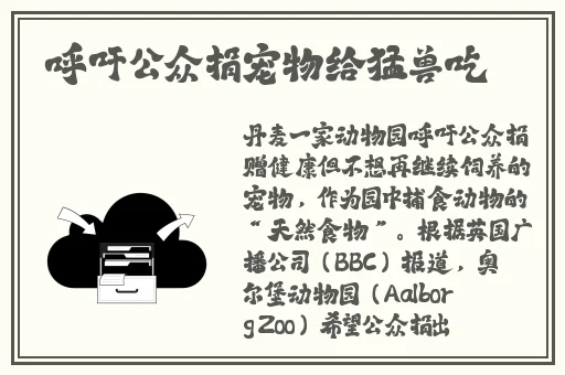 免费 高清视频不卡断